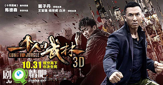 一个人的武林海报