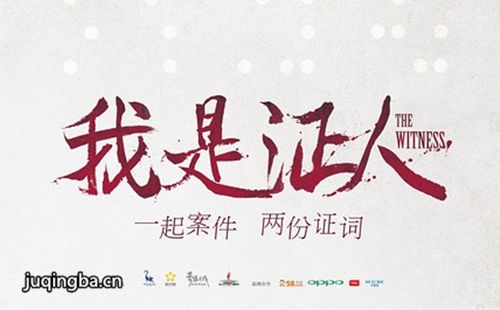 我是证人海报