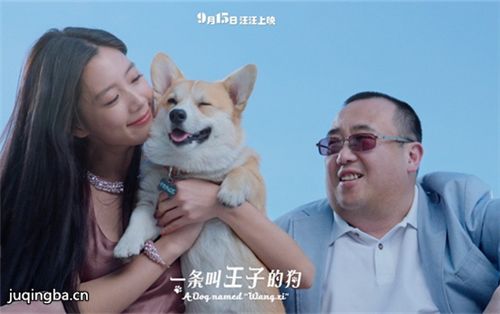 一条叫王子的狗剧照