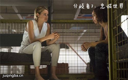 分歧者3：忠诚世界剧照