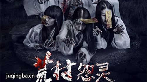 荒村怨灵海报