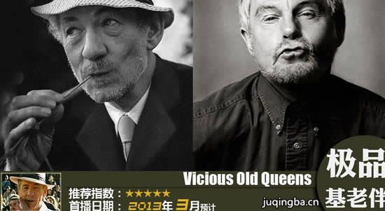 极品基老伴第一季海报