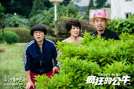 疯狂的公牛剧照