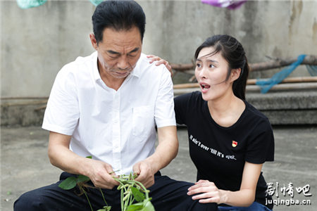 马兰花开剧照