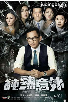 纯熟意外剧照