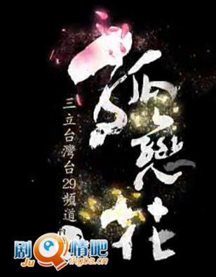 韩瑜版台剧孤恋花剧照