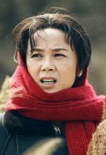 娘要嫁人演员表蒋雯丽剧照