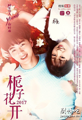 栀子花开2017海报