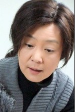 十指连心演员表刘雪华剧照