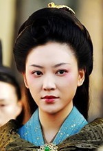 赵氏孤儿案演员表应采儿剧照