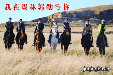 我在锡林郭勒等你剧照