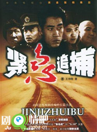 紧急追捕剧照