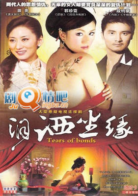 泪洒尘缘剧照