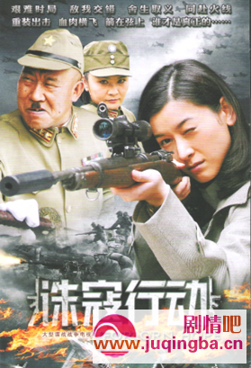 诛寇行动分集剧情介绍(1-31集)大结局