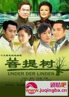菩提树下之儿本无罪剧情介绍1-40集大结局