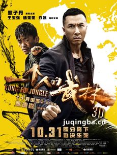 一个人的武林剧情介绍海报