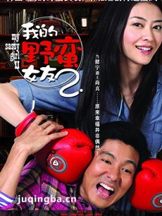 我的野蛮女友2剧情介绍海报