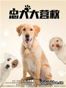 电影忠犬大营救剧情介绍海报