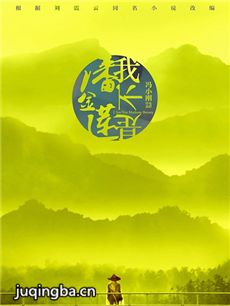 电影我不是潘金莲剧情介绍海报
