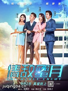 情敌蜜月剧情介绍海报