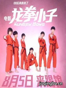 龙拳小子