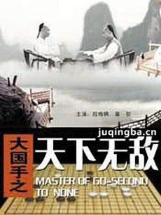 大国手之天下无敌剧情介绍海报