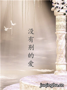 电影没有别的爱剧情介绍海报