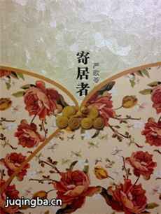 电影寄居者剧情介绍海报