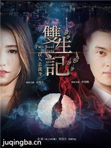 双生记之误入总裁身剧情介绍海报