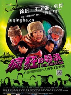 疯狂的导演剧情介绍海报