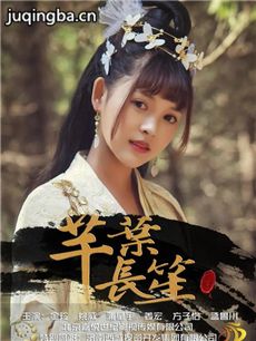 电影芊叶长笙剧情介绍海报