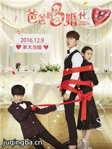 爸爸的3次婚礼剧情介绍海报