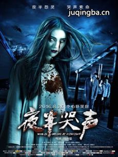电影夜半哭声剧情介绍海报