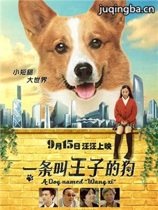 一条叫王子的狗剧情介绍海报