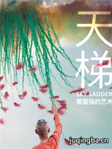 电影《天梯：蔡国强的艺术》剧情介绍海报