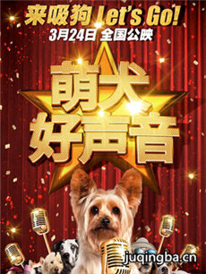 电影萌犬好声音剧情介绍海报