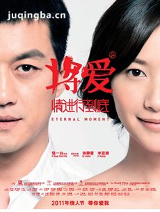 电影将爱情进行到底剧情介绍海报
