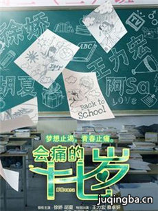 电影会痛的十七岁剧情介绍海报
