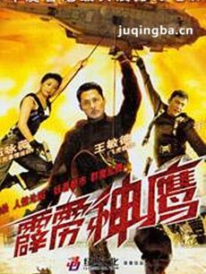 霹雳神鹰剧情介绍海报