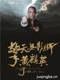 擎天无影脚黄麒英剧情介绍海报