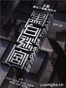 电影黑白迷宫剧情介绍海报