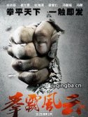 电影拳霸风云剧情介绍海报