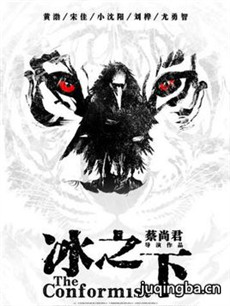 电影冰之下剧情介绍海报