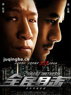 全民目击剧情介绍海报
