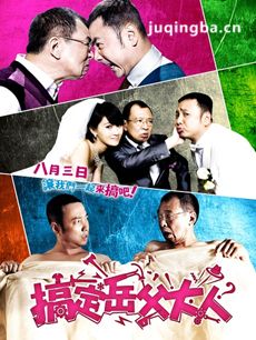 电影搞定岳父大人剧情介绍海报