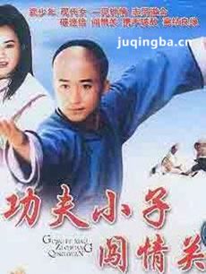功夫小子闯情关剧情介绍海报