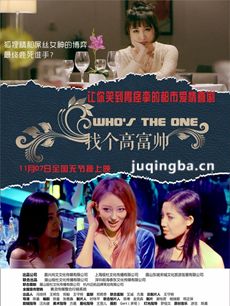 电影找个高富帅剧情介绍海报