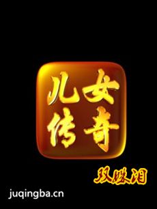 儿女传奇双姝泪剧情介绍海报
