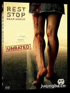 电影绝命之旅剧情介绍(2013)海报