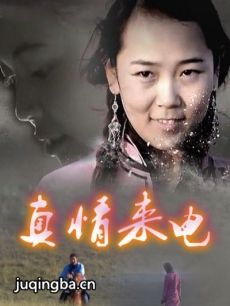 纪录片真情来电剧情介绍海报